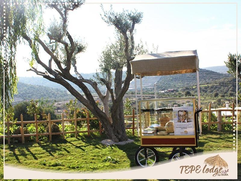 Tepe Lodge Çeşme Exterior foto